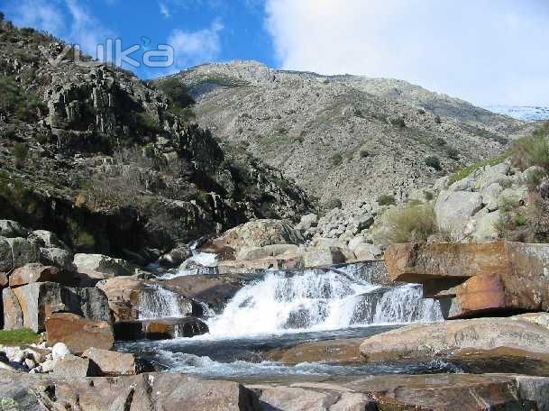 Paseos en Primavera