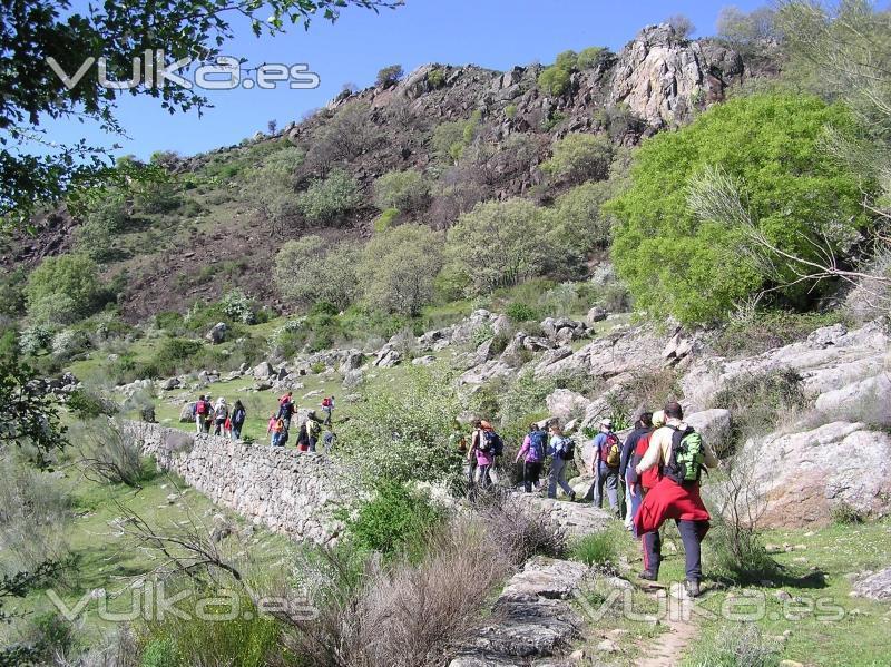 Ruta a la Dehesa Boyal