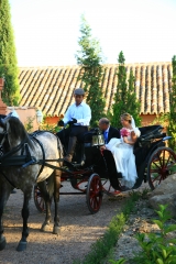 Coches de caballos para tu boda