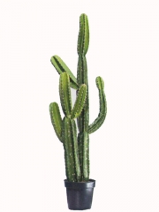Cactus artificiales de aspecto natural, en articoencasa.com