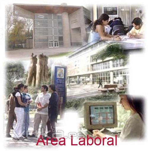 Servicios Area Laboral