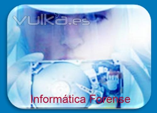 Servicios Informática Forense