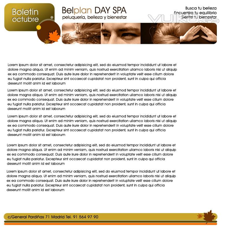 Newsletter Belplan SPA