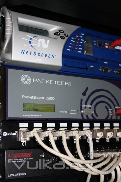 Seguridad Perimetral Netscreen 500 Packetshaper 2500 y 6500