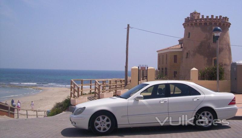 airport service taxi vip alicante o murcia costa blanca y costa calida 0034 96 676 78 30 - 0034 687 903 900