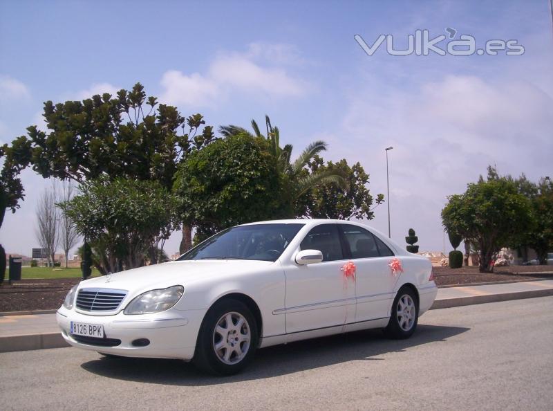 airport service taxi vip alicante o murcia costa blanca y costa calida 0034 96 676 78 30 - 0034 687 903 900