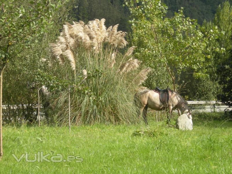 rutas a caballo Aguas del Narcea  Hotel rural****