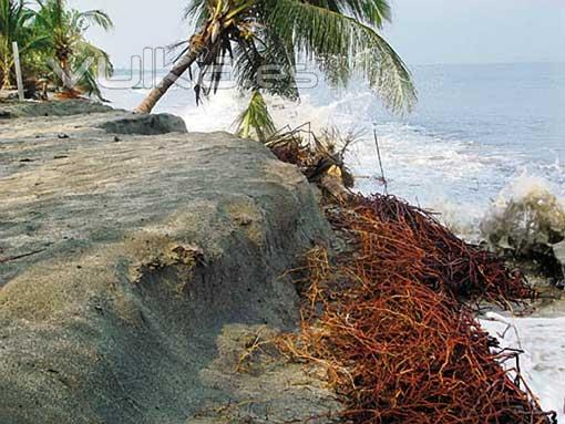 La erosión costera es un proceso de erosión que se produce naturalmente a lo largo de las costas