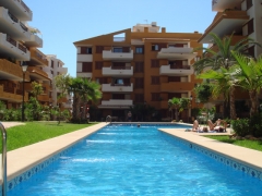 Apartamentos primera linea - playa flamenca