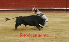 CARLOS DE LA FUENTE FOTOGRAFIA-ANGULOS-FOTOGRAFIA-ENMARCACIONES Y REGALOS - Foto 19