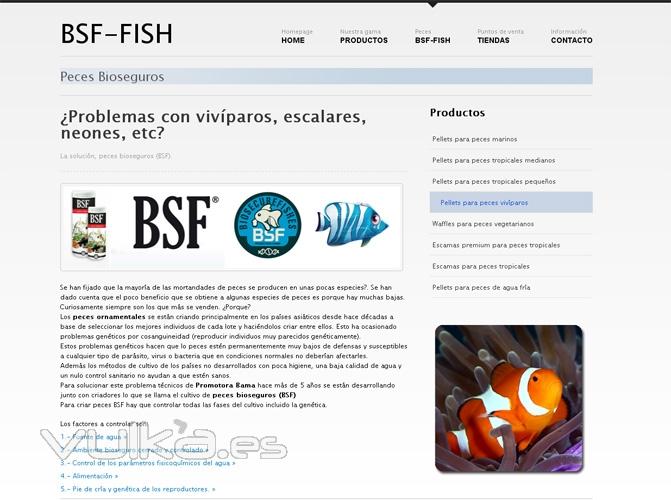 Alimentacin para peces ornamentales  www.bsf-fish.com