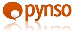 Pynso | Soluciones Web