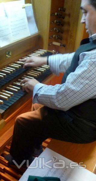organista de SAN TIRSO EL REAL DE OVIEDO 