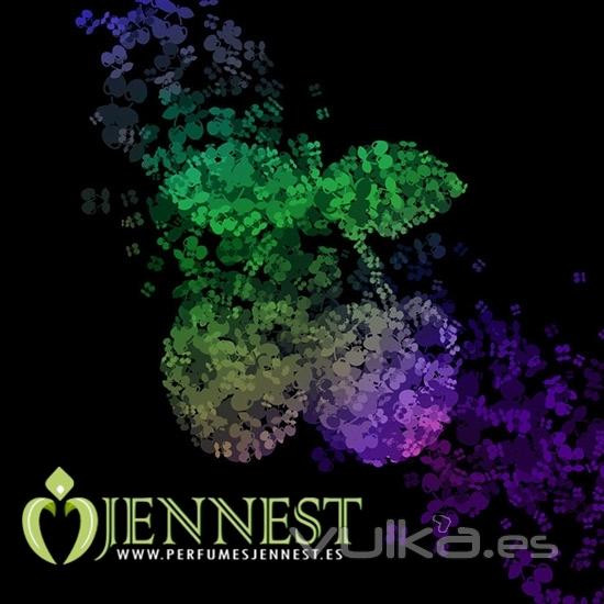 www.perfumesjennest.com