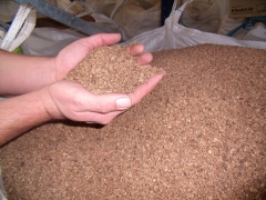 Biomasa de hueso de aceituna