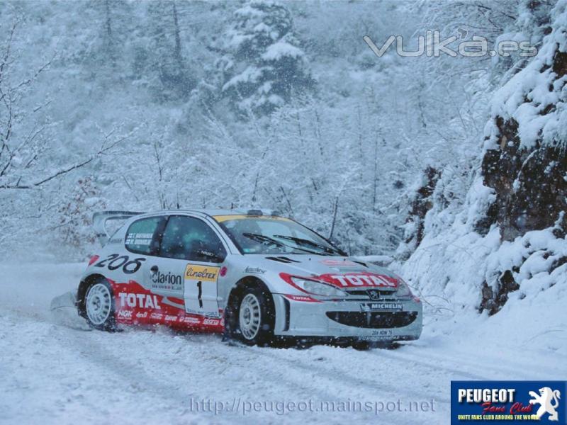 peugeot 206 WR