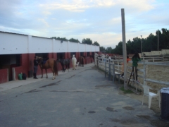 Nave de boxes centro hipico los hermanos