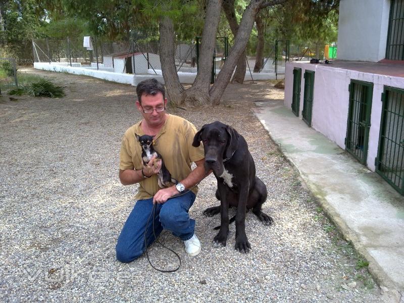 ADIESTRAMOS CUALQUIER TIPO DE PERRO Y TAMAÑO