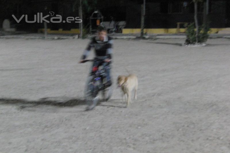 ENSEADOLES A CIRCULAR AL LADO DE LA BICICLETA