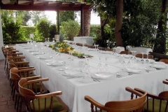 Foto 62 cocina mediterránea en Valencia - Devesa Gardens Restaurante