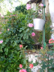 En el patio: flores en el pozo