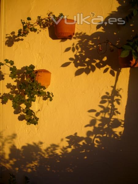 Luz de Otoño en la terraza.