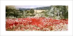 Paisaje de amapolas, acuarela