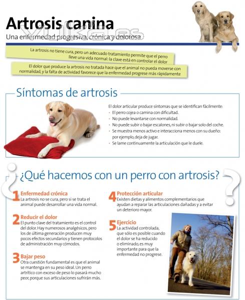 CLINICA VETERINARIA  MADRID  CENTRO VETERINARIO  ASISTENCIA A DOMICILIO  Chamartín Prosperidad Ciuda