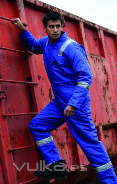 Monos de trabajo Dickies Workwear