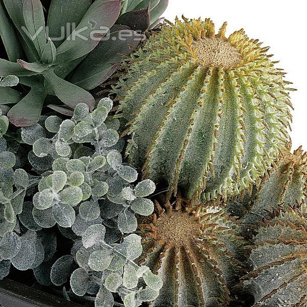 Planta artificial cactus oval 1 en La Llimona home