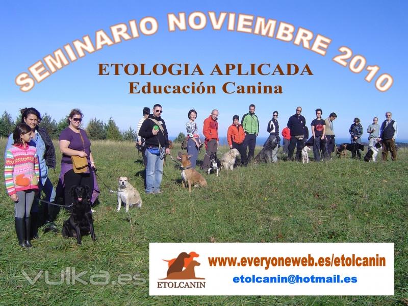 Seminario Noviembre 2010 