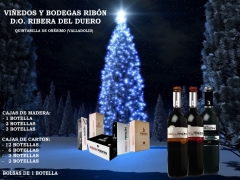 Navidad 2010