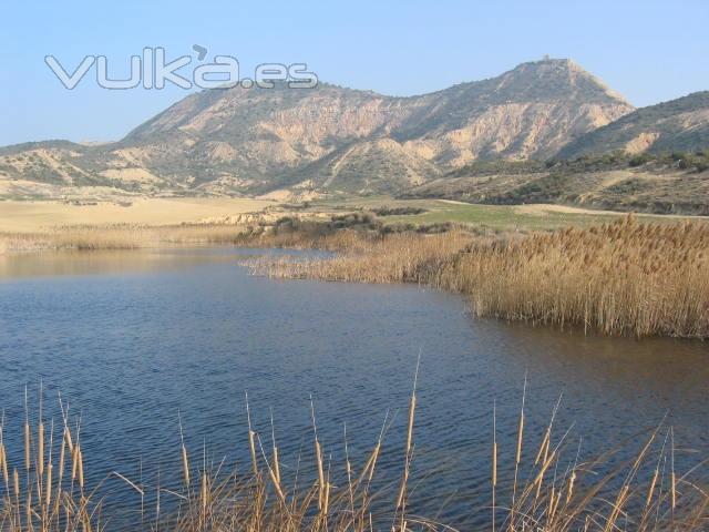 Imagen de la Bardena Negra, reserva de la Biosfera.