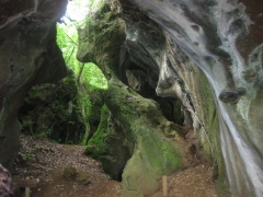 Cuevas de andina