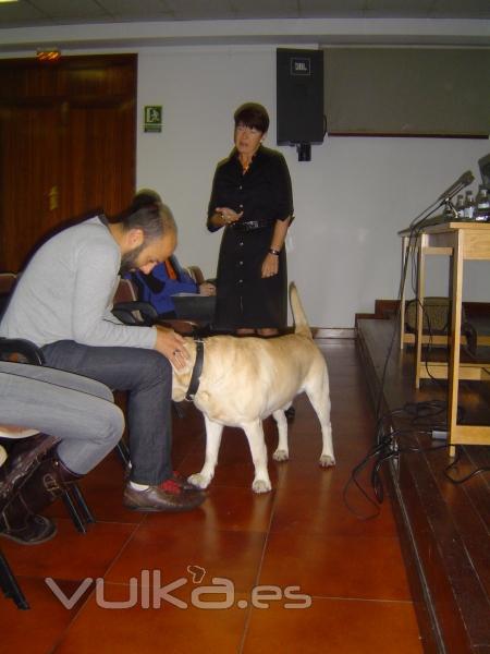 Noble y Fiel Amigo ANFA :Ponencia Josune Gomez-Lago Asoc. Bubastis Terapia Asistida con Animales