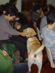 Noble y fiel amigo anfa :ponencia josune gomez-lago asoc bubastis terapia asistida con animales