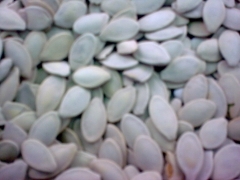 Pipas de calabaza,variantes morera