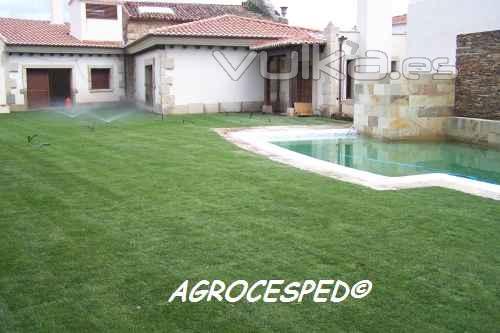 Instalacion cesped en tepes o rollos Agrocesped