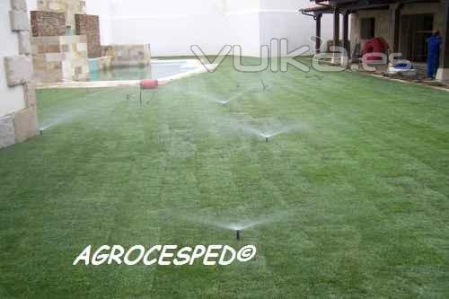 Riegos jardin cesped natural Agrocesped