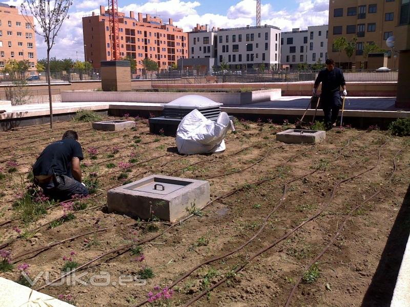 Sermant jardineria a promotor