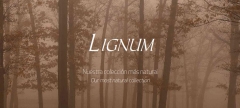 COLECCIN LIGNUM DE UNDEFASA