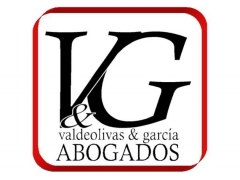 V&G ABOGADOS
