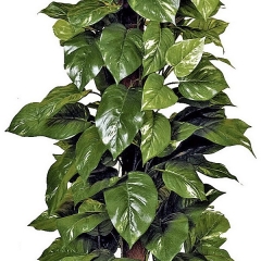 Planta artificial pothos en lallimona.com detalle1