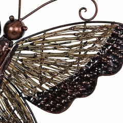 Mariposa cana 36 en lallimonacom detalle1
