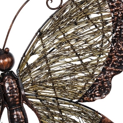 Mariposa cana 44 en lallimonacom detalle1