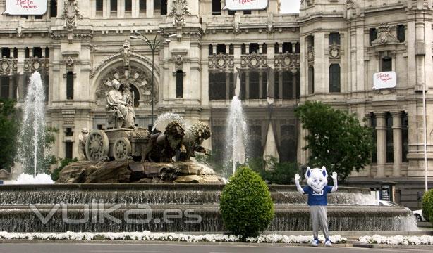 Billiken in plaza de Cibeles!