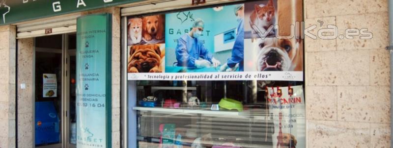 Gasset veterinarios Ciudad Real: Clnica Veterinaria. Ms en http://www.gassetveterinarios.com