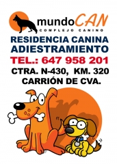 Gasset veterinarios ciudad real: clnica veterinaria. ms en http://www.gassetveterinarios.com