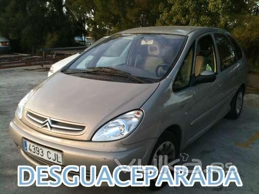 Xhara Picasso