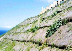 Erosion de taludes controlada con geosinteticos y vegetacion